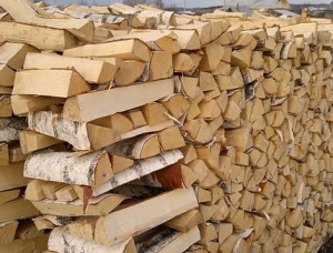 Silver Birch Seasoned Firewood 100 mm x 300 mm