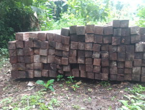 10 mm x 200 mm x 4000 mm AD S4S  Iroko (Mvuli, Kambala, Semli, Rokko) Lumber