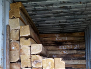 Teak Square Logs 100 mm x 150 mm x 6 m