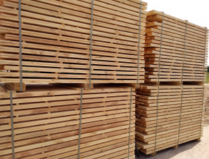 20 mm x 100 mm x 3000 mm GR R/S  Spruce-Pine (S-P) Lumber