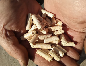 Pine Wood pellets 6 mm x 15 mm