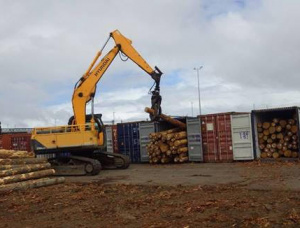 Radiata Pine Sawlog 340 mm x 5.8 m