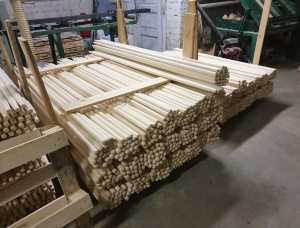 Aspe 1300 mm x 24 mm