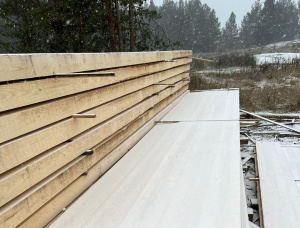 25 mm x 150 mm x 6000 mm GR R/S  Spruce-Pine (S-P) Lumber