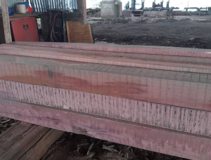 300 mm x 200 mm x 4500 mm  Eingefasstes Brett Amarante - Purpleheart R/S GR