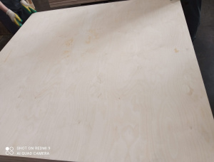 Sanded 0 Exterior Plywood 1525 mm x 1525 mm x 3 mm