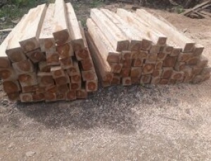 Teak wood Blocks with sapwood tolerance