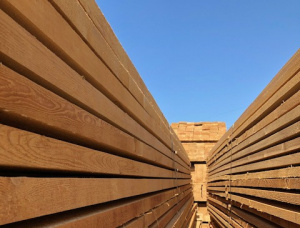 32 mm x 150 mm x 6000 mm GR S4S  Siberian Larch Lumber