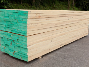 200 mm x 300 mm x 4000 mm KD R/S  Obéché (Abachi, Ayous, Samba, Wawa) Lumber