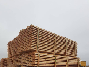 Pinus Balok bundar 50 mm x 6 m