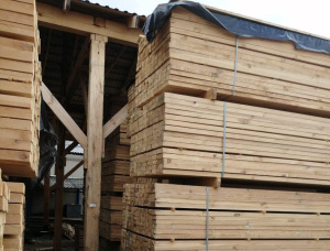 50 mm x 150 mm x 6000 mm KD R/S  Scots Pine Lumber
