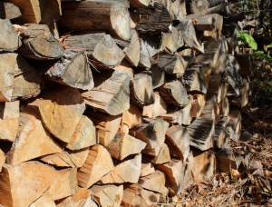 Red Oak Seasoned Firewood 100 mm x 400 mm