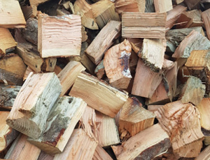 Red Oak Wood chips