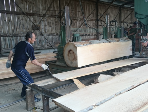 30 mm x 240 mm x 4000 mm KD  Beech Joinery lumber