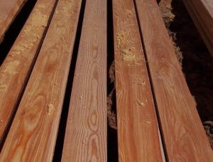 28 mm x 100 mm x 3000 mm KD R/S  Siberian Larch Lumber