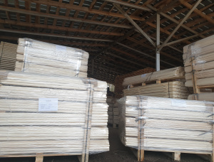 Aspe 1300 mm x 24 mm