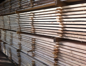 50 mm x 150 mm x 6000 mm KD R/S  Pine Lumber