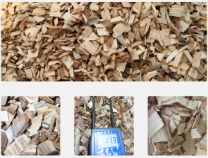 Eucalyptus Wood chips