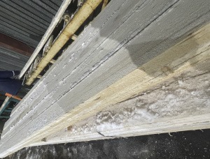 50 mm x 200 mm x 6000 mm Aspen Lumber