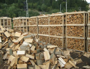 Hornbeam Kiln Dried Firewood 50 mm x 300 mm