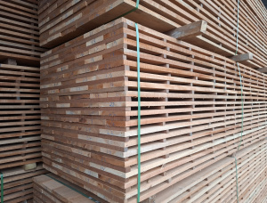 50 mm x 150 mm x 6000 mm İşlem görmemiş Iroko Kereste