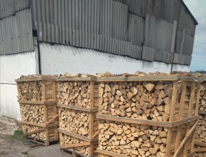 Hornbeam Seasoned Firewood 50 mm x 330 mm