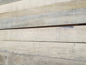 30 mm x 100 mm x 2000 mm KD  Oak Joinery lumber