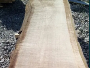 35 mm x 400 mm x 2000 mm Walnut Flitch