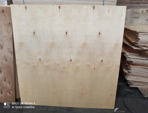 Sanded 0 Exterior Plywood 1525 mm x 1525 mm x 3 mm