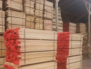 50 mm x 100 mm x 200 mm KD S2S Pressure Treated Beech Lumber