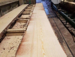 Pine timber 1 sort 8-10%