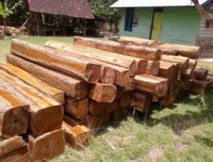 Teak wood blocks with cut by saw chain
