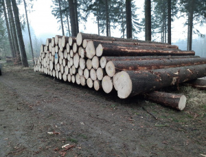 Spruce-Pine-Fir (SPF) Sawlog 380 mm x 12 m