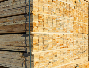 30 mm x 150 mm x 6000 mm AD R/S  Spruce-Pine (S-P) Lumber