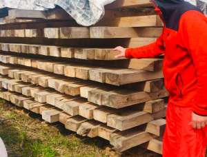 50 mm x 200 mm x 6000 mm AD R/S  Spruce-Pine-Fir (SPF) Lumber