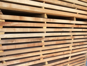 Beech Boards KD/Steamed/Edged 50 mm x 120 mm x 2 m