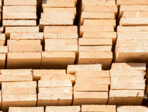 20 mm x 150 mm x 2000 mm AD R/S  Siberian spruce Lumber