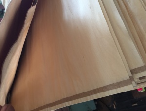 旋切單板 桦木 1300 mm x 2600 mm x 1 mm