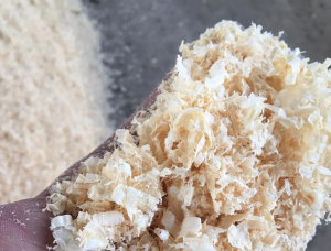 Wood shavings