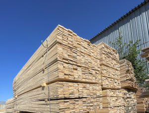 40 mm x 90 mm x 2000 mm    Birch Lumber
