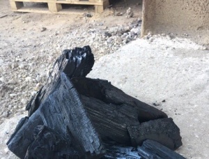 Birch Wood charcoal 60 mm