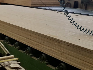 Rennepont 1600 Bandsaw Line