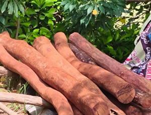 Sandalwood Sawlog 50 in. x 10 ft.