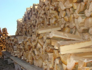 Silver Birch Seasoned Firewood 100 mm x 400 mm