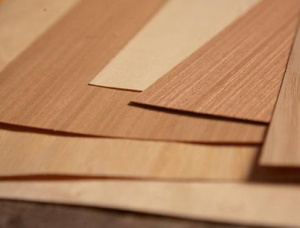 Melamine paper for plywood lamination