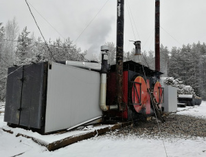 Holzkohle Birke 100 mm