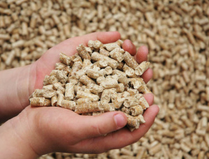 Siberian Pine Wood pellets 8 mm x 30 mm