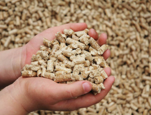 Holzpellets  Sibirische Kiefer 8 mm x 30 mm