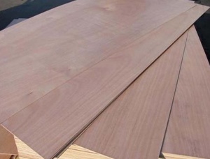 Poplar Plywood 5 mm x 50 mm x 1220 mm