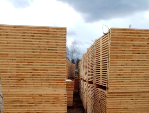 European larch Pallet timber 22 mm x 98 mm x 1200 m